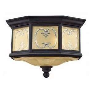  Chateau 1233 Outdoor Ceiling Light: Home Improvement