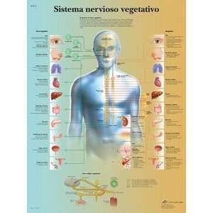  Sistema nerviosos vegetativo (Spanish) 125 Micron, 2 metal 