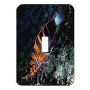   Metal Designer Switch Plate: Seaworld   (SCSSW 024): Home & Kitchen