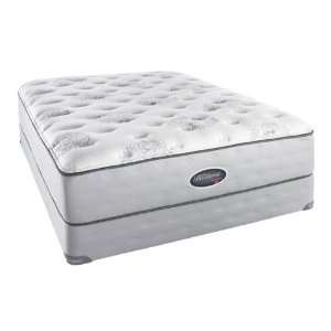  Vibrance Firm Queen Mattress Baby