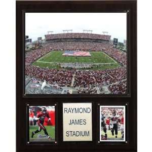  NFL Raymond James Stadium Plaque: Home & Kitchen