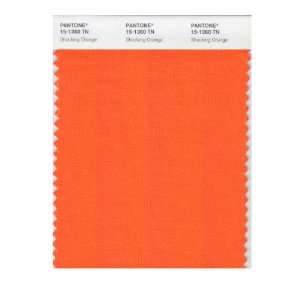  Pantone 15 1360 Nylon Brights Color Swatch Card: Home 