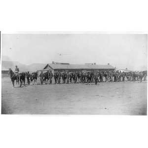   10th U.S. Cavalry posed at Fort Verde, Arizona, 1880s