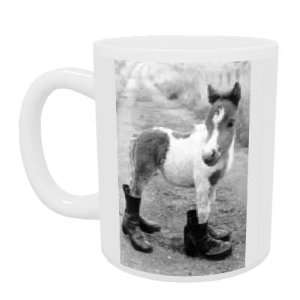  Britains smallest Shetland Pony Lucky   Mug   Standard 