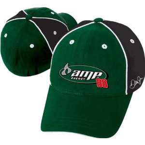    Dale Earnhardt Jr. Turn To Wrapped Up Flex Hat: Sports & Outdoors