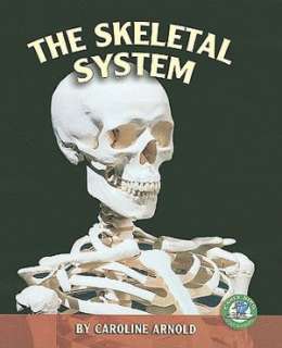   Skeletal System by Caroline Arnold, Lerner Publishing 