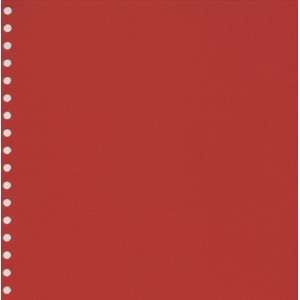   Ring Album Refills, 12 Acid Free Sheets, Red (49504): Office Products