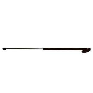  Strong Arm 4984 Hatch Lift Support: Automotive