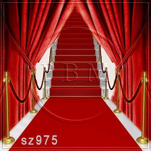 INDOOR STAIRCASE 10x10 CP SCENIC PHOTO BACKGROUND BACKDROP Sz975 
