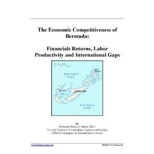 The Economic Competitiveness of Bermuda Financials Returns, Labor 