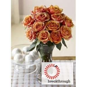 Breakthrough Rose Bouquet  Grocery & Gourmet Food
