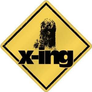  New  Komondor X Ing / Xing  Crossing Dog