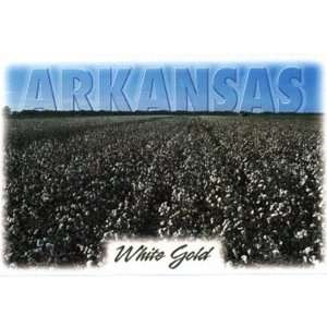   Arkansas Postcard Ar172 White Gold Case Pack 750: Everything Else