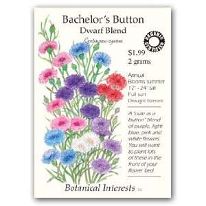  Bachelor Button Dwarf Blend Organic Seed: Patio, Lawn 