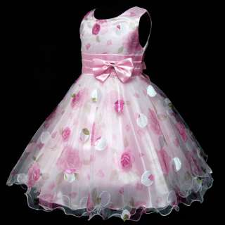 264 30 P3211 1AM Pink Princess Wedding Party Flower Girl Pageant Dress 