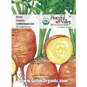  Organic Beet Seed Pack, Golden: Patio, Lawn & Garden