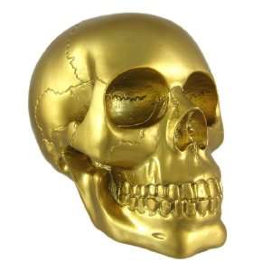  Metallic Gold Finish Human Skull Statue Figure