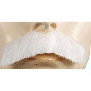    AB 956 Einstein Mustache by Lacey Costume Wigs: Toys & Games