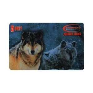   Card: 5u Wildlife Series   Grey Wolf (Wolves) Live Printers Proof