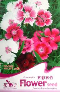 A065 Flower Pink White Red Dianthus chinensis Seed Pack  