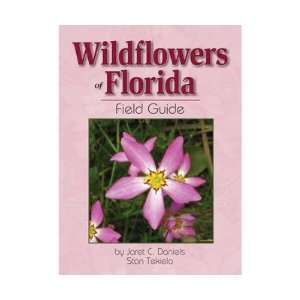   Wildflowers Florida Fg Full Page Photos Details & Species: Patio, Lawn