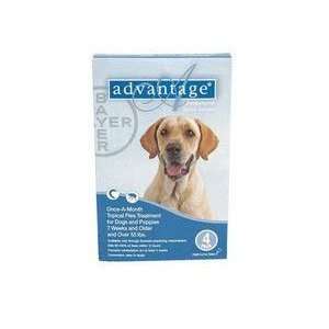  Advantage   For Dogs And Puppies Over 55 BLUE 100 4: Pet 