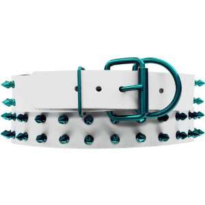   White Leather Dog Collar with Spikes, Caribbean Teal: Pet Supplies