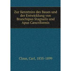   von Branchipus Stagnalis und Apus Cancriformis Carl, 1835 1899 Claus