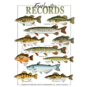 T shirts Aquatic Sea Life Fish Freshwater Records 5xl 