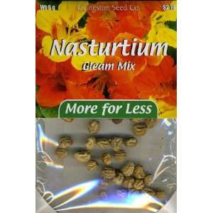  Plus Pack   Nasturtium   Gleam Mix Patio, Lawn & Garden