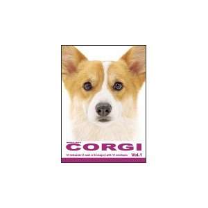  THE DOG Notecard Vol. 1   Welsh Corgi