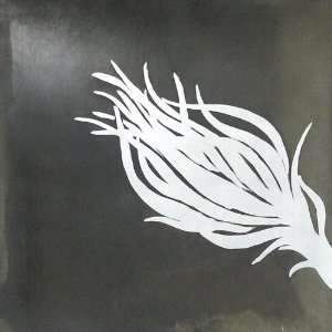  Beth Weintraub   Pavo Etched Metal Plate: Everything Else