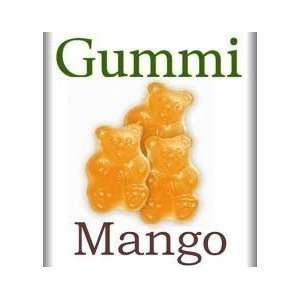 Albanese Mango Gummi Bears 5lbs: Grocery & Gourmet Food