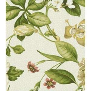   Decor Fabrics Waverly Temple Of Flora Grass Fabric: Home & Kitchen