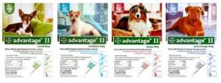ADVANTAGE ll Dog Flea Medication over 55 lbs Blue 6 Month  