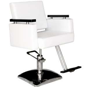  Modern Hydraulic Styling Chair Salon Equipment Beauty