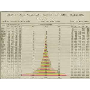   Antique Chart of U.S. Corn, Wheat, Oats Crops   1891