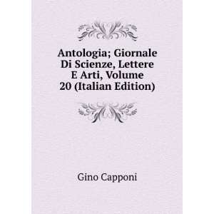   , Lettere E Arti, Volume 20 (Italian Edition) Gino Capponi Books