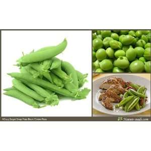   Pea Bean 20 Vegetable Gardening Heirloom Seeds Patio, Lawn & Garden