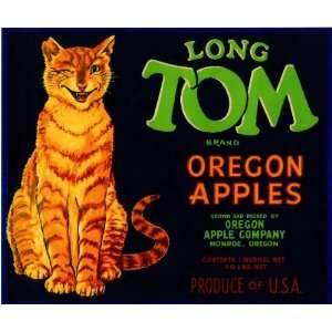  Monroe Oregon Long Tom Cat Apple Fruit Crate Box Label Art 