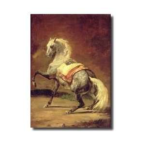  Dappled Grey Horse Giclee Print