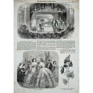  1856 Paris Fashion Aconite Wolfsbane Woodin Oddities