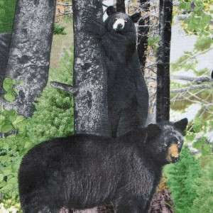 NORTH AMER WILDLIFE BLACK BEARS~ Cotton Quilt Fabric  