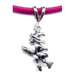  18 Fuschia Witch Necklace Sterling Silver Jewelry: Sports 