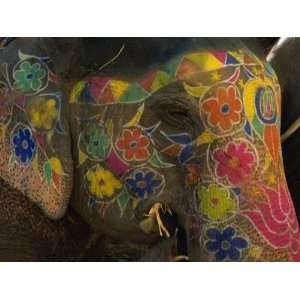 Painted Elephant, Used for Transporting Tourists, Amber Palace, Jaipur 