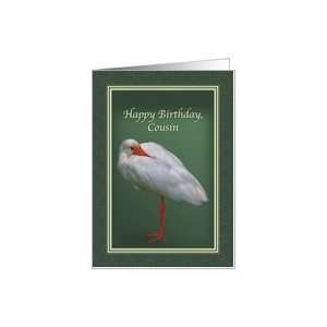  Birthday, Cousin, White Ibis Bird Card Health & Personal 