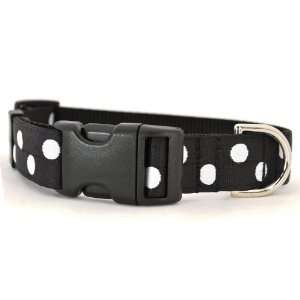  Large Black & White Mod Dot Dog Collar 1 wide, adjusts 