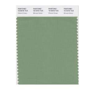   SMART 16 6318X Color Swatch Card, Mineral Green: Home Improvement