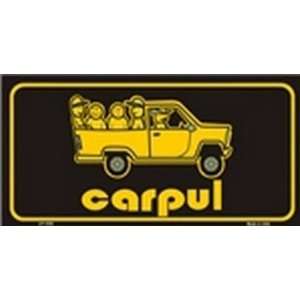  Carpul Spanish License Plate Plates Tag Tags auto vehicle 