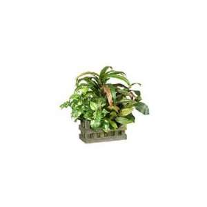    Silk Artificial Mixed Pothos Plant Ledge Box: Home & Kitchen